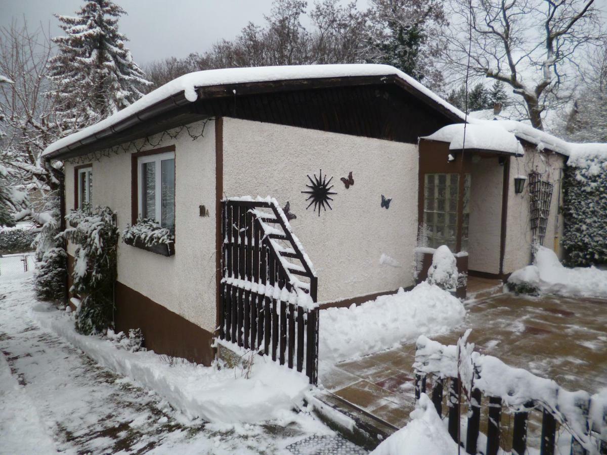 Ferienhaus Anne Thale Exterior photo